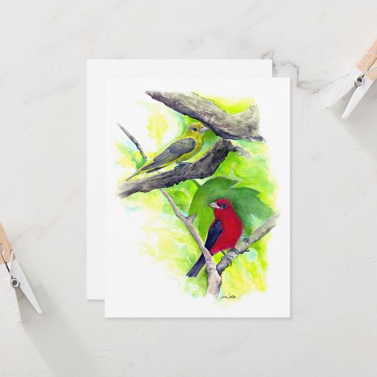 Scarlet Tanager +ペア ノートカード