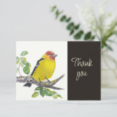 Scarlet Tanager 鳥 自然 水彩画 ありがとう サンキューカード (スタンド正面)