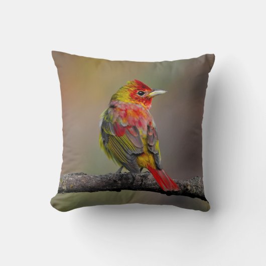 Scarlet Tanager Molting - オリジナル写真 クッション (正面)