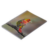 Scarlet Tanager Molting - オリジナル写真 ノートブック (左側)