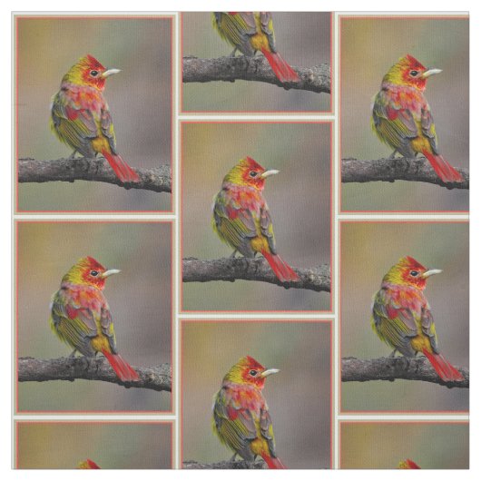 Scarlet Tanager Molting - オリジナル写真 ファブリック (見本)