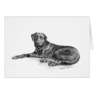 Scarlett黒い実験室