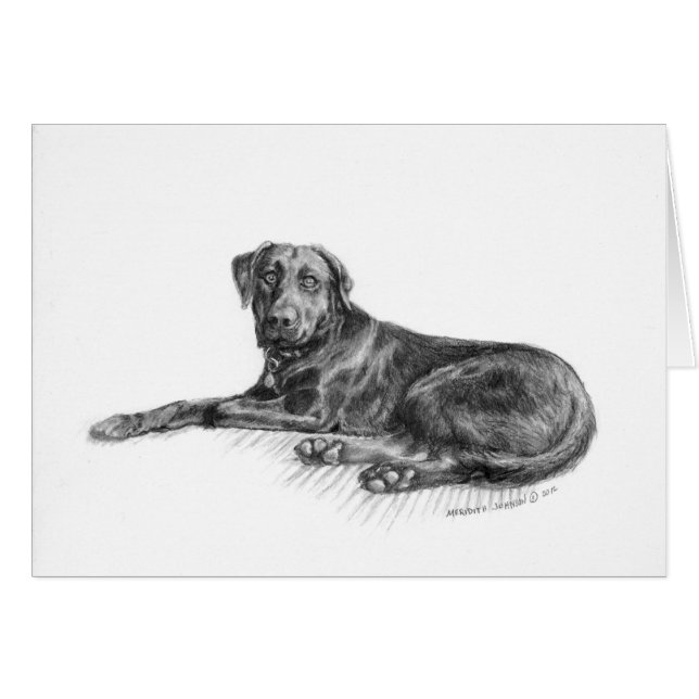 Scarlett黒い実験室 (正面横)