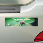 Scary Red Spotted Beetle Nature Personalized バンパーステッカー (車上)