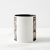 Scavagingのどん欲なカモメ-カスタムなマグ ツートーンマグカップ (中央)