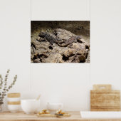 Sceloporus cyanogenys ポスター (キッチン)