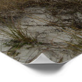 Scenic Boardwalk Florida Beach Nature Photography ポスター (角)