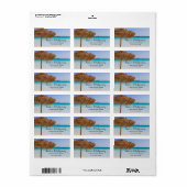 Scenic Tropical Beach with Straw Umbrella Address ラベル (フルシート)