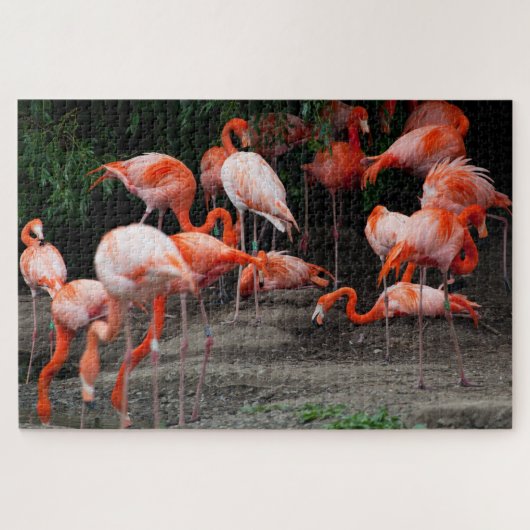 Scenic Tropical Landscape Flamingo Jigsaw Puzzle ジグソーパズル (横)