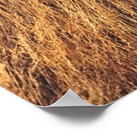 Scenic view in Mt. John summit view point, Lake T ポスター (角)