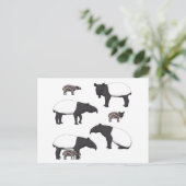 Schabrackentapir Auswahl ポストカード (スタンド正面)