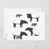 Schabrackentapir Auswahl ポストカード (正面/裏面)