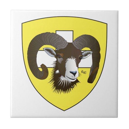 Schaffhausen Schweiz Suisse Svizzera Svizra Fliese タイル (正面)