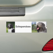 schapendoes バンパーステッカー (車上)
