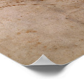 Scheme for the Sistine Chapel Ceiling, c.1508 ポスター (角)