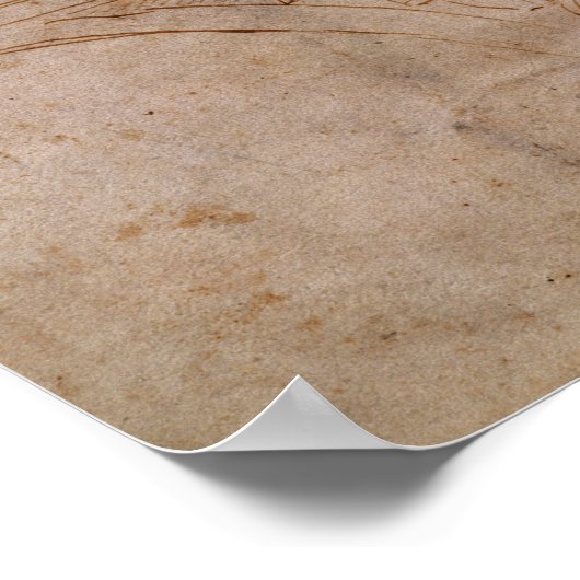 Scheme for the Sistine Chapel Ceiling, c.1508 ポスター (角)