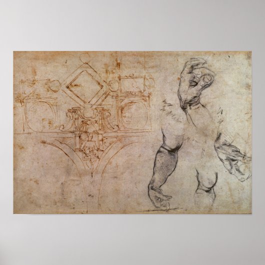 Scheme for the Sistine Chapel Ceiling, c.1508 ポスター (正面)