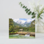 Schiederweiher，上オーストリア ポストカード (スタンド正面)