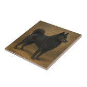 Schipperke タイル (側面)