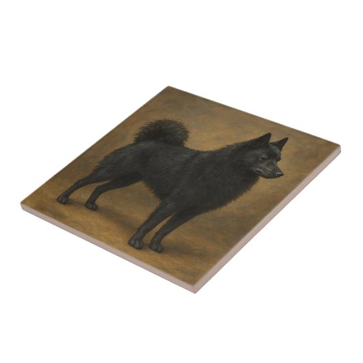 Schipperke タイル (側面)