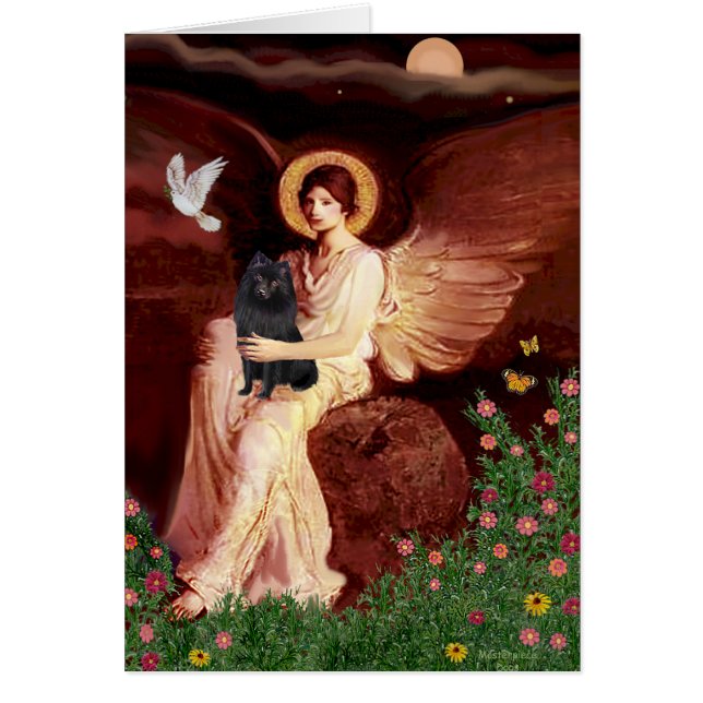 Schipperke 2 – 着座天使 (正面)