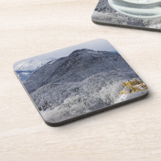 Schloss Hohenschwangau コースター (左側)