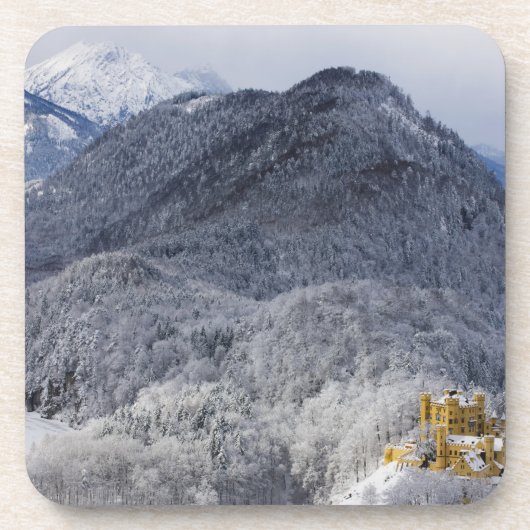 Schloss Hohenschwangau コースター (正面)