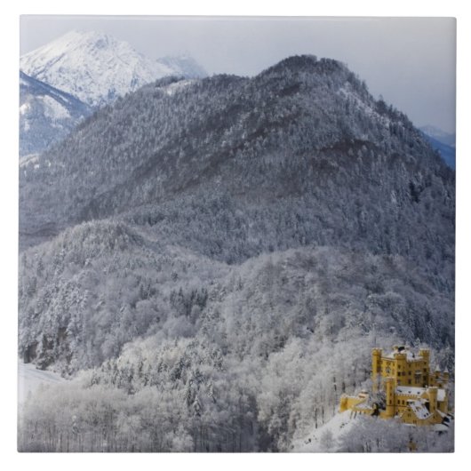 Schloss Hohenschwangau タイル (正面)
