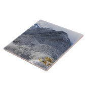 Schloss Hohenschwangau タイル (側面)