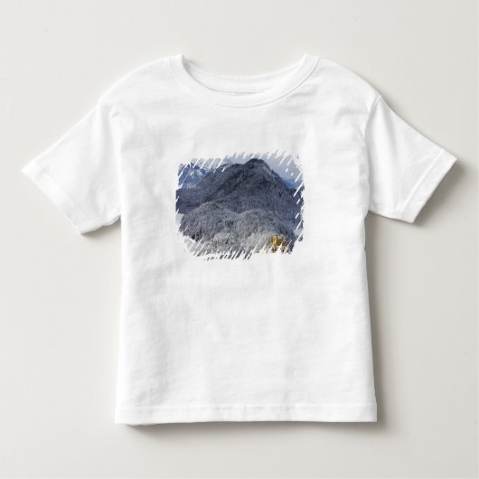 Schloss Hohenschwangau トドラーTシャツ (正面)