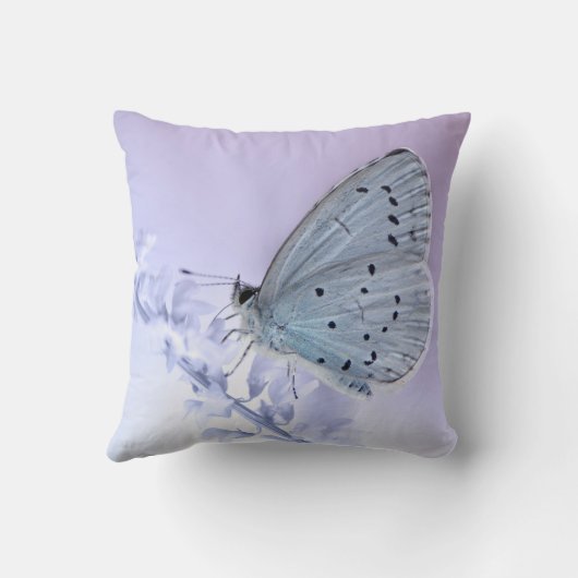Schmetterling クッション (裏面)