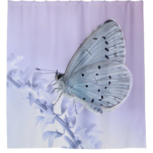 Schmetterling シャワーカーテン (正面)