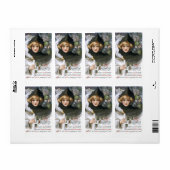 Schmuker：バックのゴブリン ラベル (フルシート)