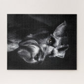 Schnauzer Monochrome Portrait ジグソーパズル (横)