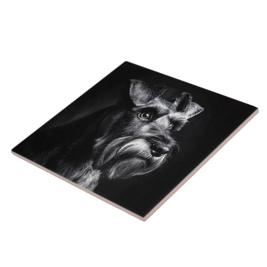 Schnauzer Monochrome Portrait タイル (側面)