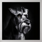 Schnauzer Monochrome Portrait ポスター (正面)