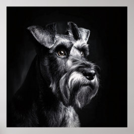 Schnauzer Monochrome Portrait ポスター