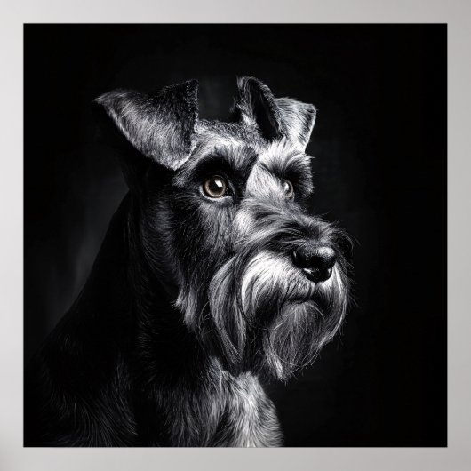Schnauzer Monochrome Portrait ポスター (正面)
