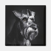 Schnauzer Monochrome Portrait マグネット (正面)