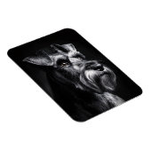 Schnauzer Monochrome Portrait Flexible マグネット (右側)