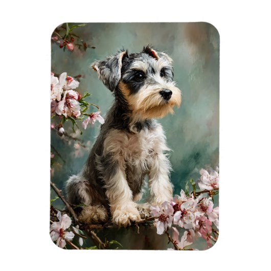 Schnauzer Puppy Spring Cherry Blossoms Flexible マグネット (縦)