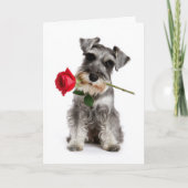 Schnauzer Valentine – Faithful Love with a Rose カード (正面)