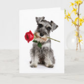 Schnauzer Valentine – Faithful Love with a Rose カード (黄色い花)