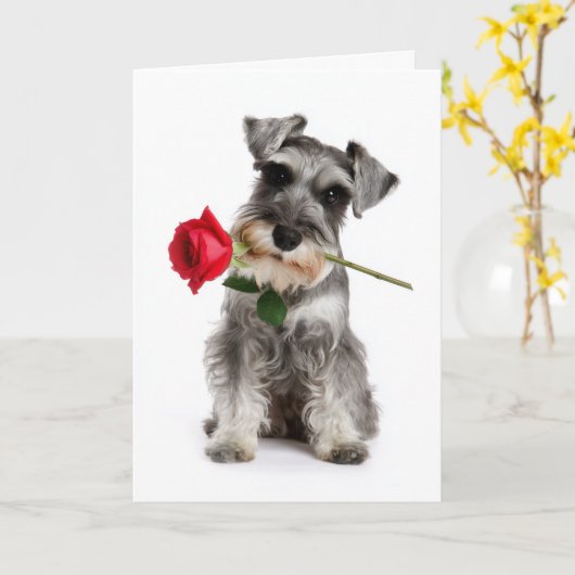 Schnauzer Valentine – Faithful Love with a Rose カード (黄色い花)