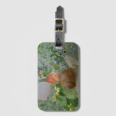 Schneckenreiten ラゲッジタグ (正面縦)