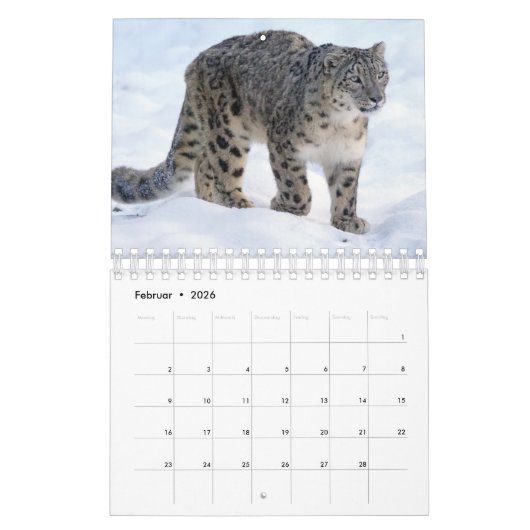 Schneeleoparden als Kalender カレンダー (2月 2026)