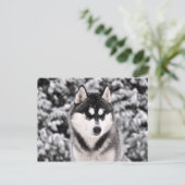 schneezauber ポストカード (スタンド正面)