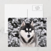 schneezauber ポストカード (正面/裏面)