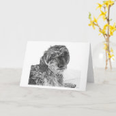 Schnell -空白のな挨拶状 カード (黄色い花)