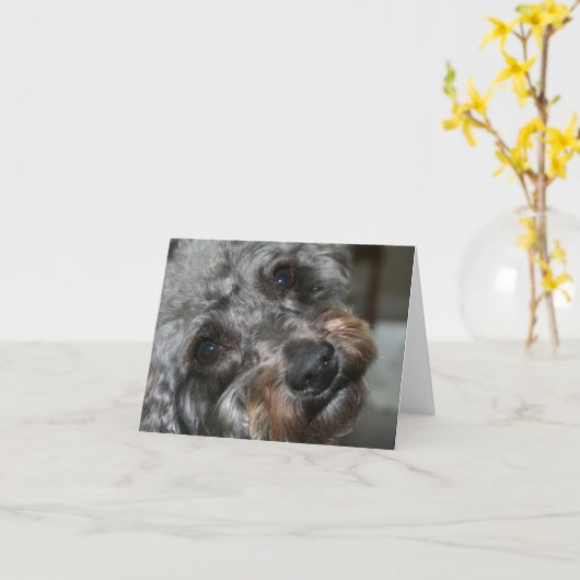 Schnoodleの恋人 カード (黄色い花)